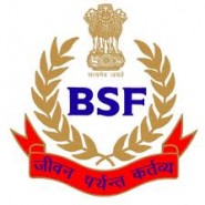 BSF Constable(Tradesmen) male recruitment 2013 – 1436 vacancies