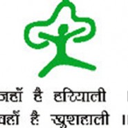 MOEF National Green Tribunal stenographer Grade D posts – 3 vacancy
